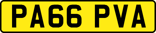 PA66PVA