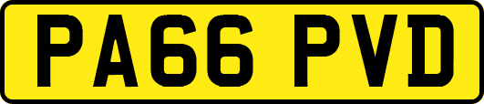 PA66PVD