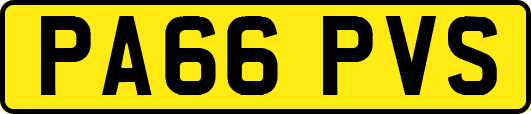 PA66PVS