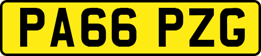 PA66PZG