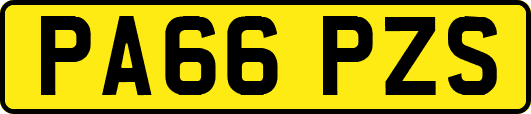 PA66PZS