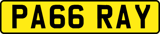 PA66RAY