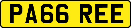 PA66REE