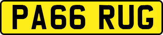 PA66RUG
