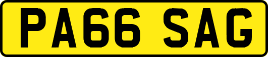 PA66SAG