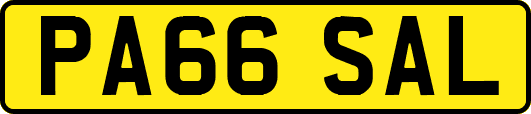 PA66SAL