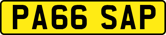PA66SAP