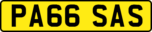 PA66SAS