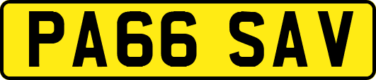 PA66SAV