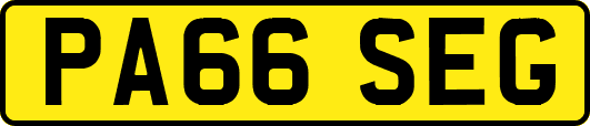 PA66SEG