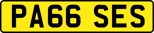PA66SES