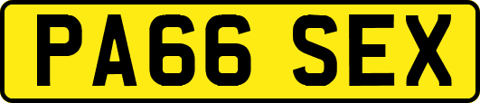PA66SEX