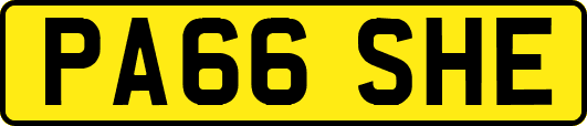 PA66SHE