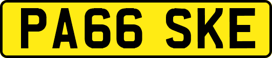 PA66SKE