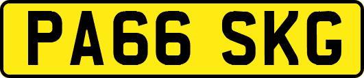 PA66SKG