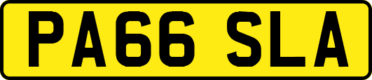 PA66SLA