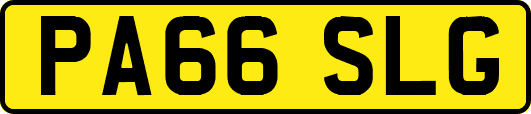 PA66SLG