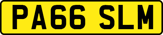 PA66SLM