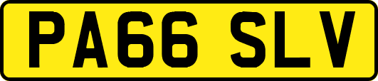 PA66SLV