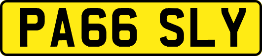 PA66SLY