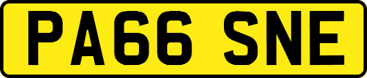 PA66SNE