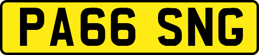 PA66SNG