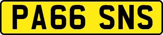 PA66SNS