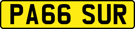 PA66SUR