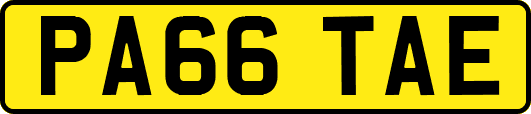 PA66TAE