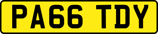 PA66TDY