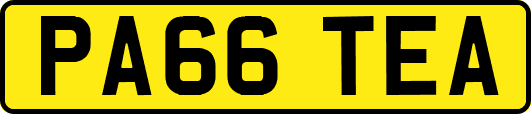 PA66TEA