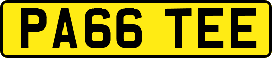 PA66TEE