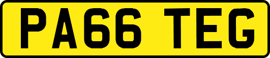 PA66TEG