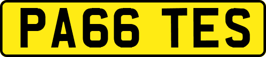 PA66TES