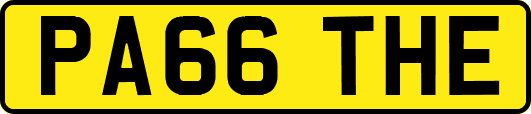 PA66THE