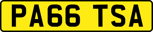 PA66TSA