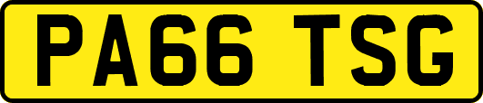 PA66TSG
