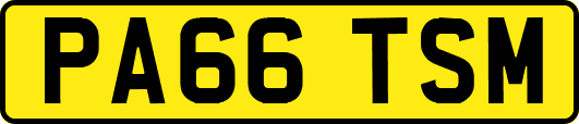 PA66TSM
