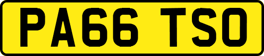 PA66TSO