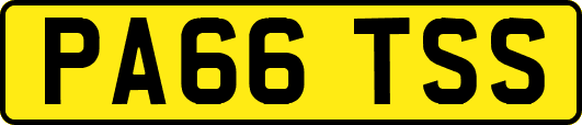 PA66TSS