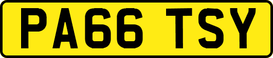 PA66TSY