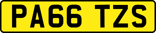 PA66TZS