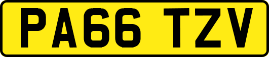 PA66TZV