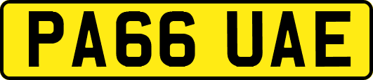 PA66UAE