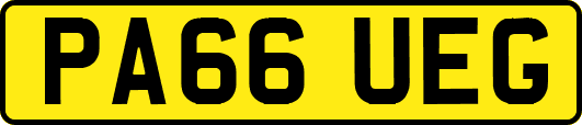 PA66UEG