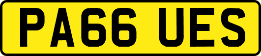 PA66UES