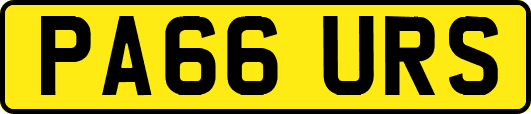 PA66URS