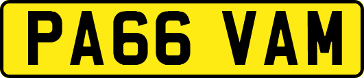 PA66VAM