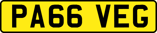 PA66VEG