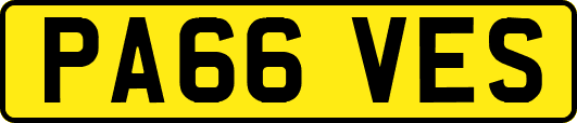 PA66VES